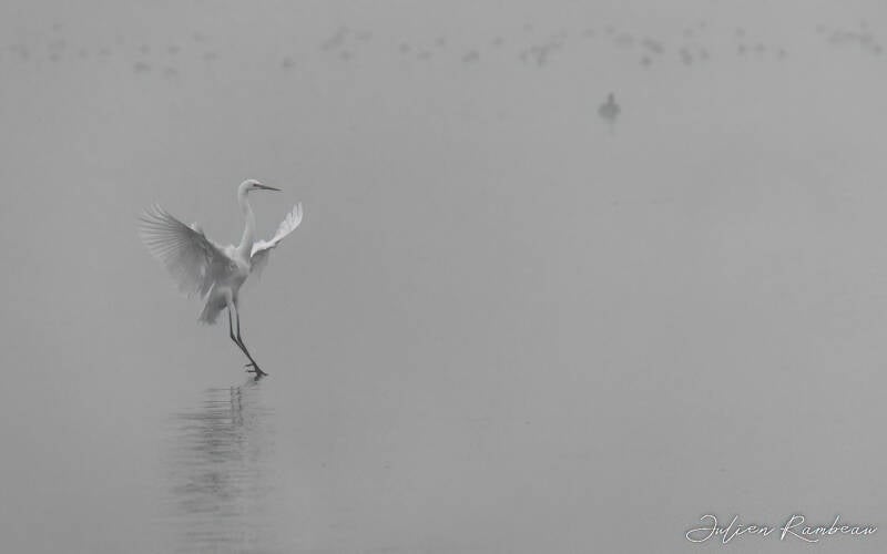 21112021-jra_8117-denoiseai-low-light-standard.jpg