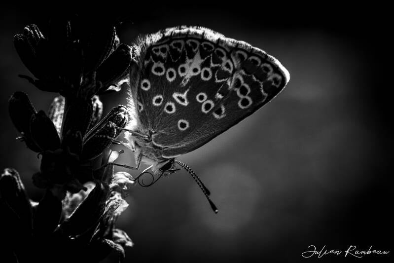 23062022-jra_3348-standard.jpg