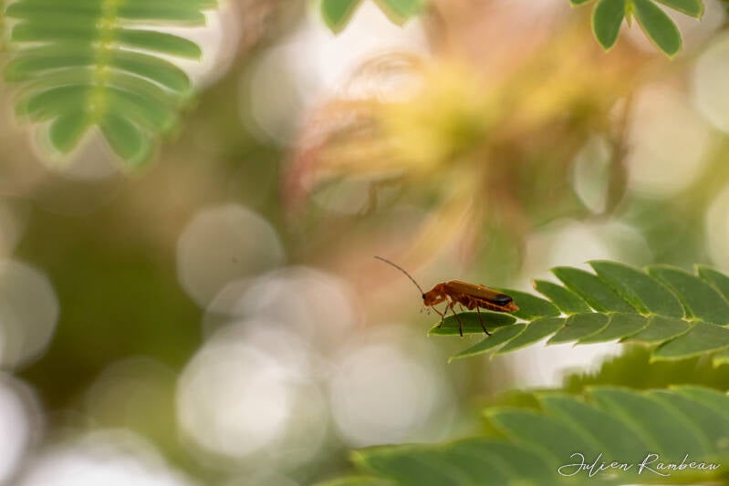 27062022-jra_4516-standard.jpg