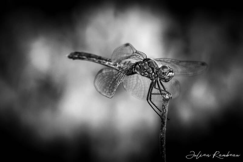 29082022-jra_0201-standard.jpg