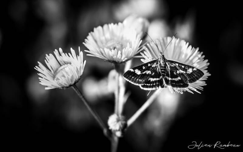29082022-jra_0226-standard.jpg