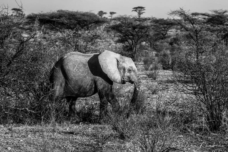 copie-de-kenya-143-standard.jpg