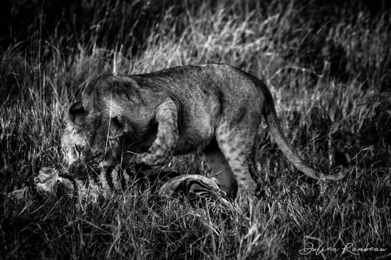 kenya-1012-standard.jpg