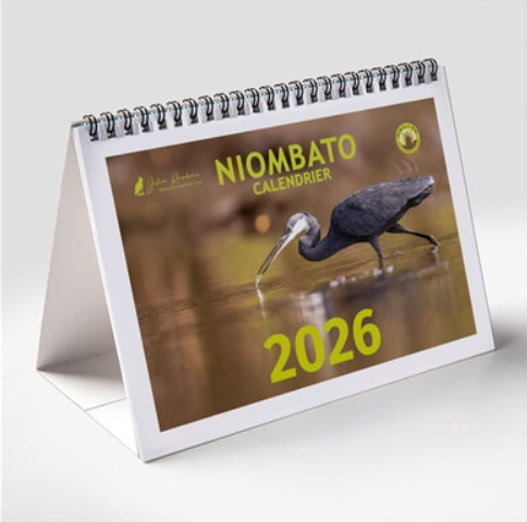 Calendrier NIOMBATO 2026
