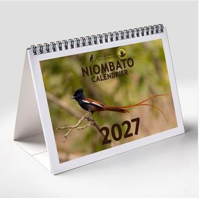 Calendrier NIOMBATO 2027