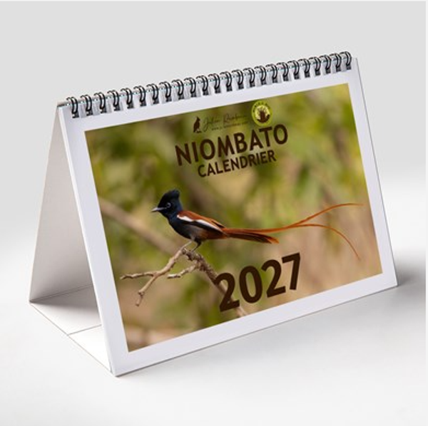 Calendrier NIOMBATO 2027