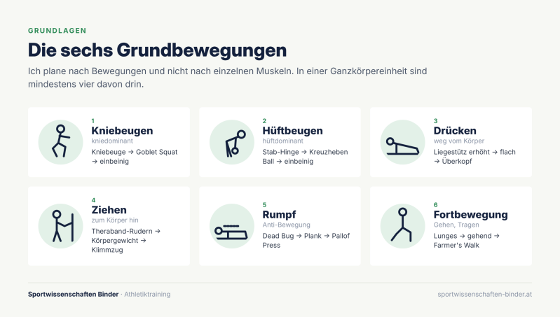 Grafik: Die sechs Grundbewegungen