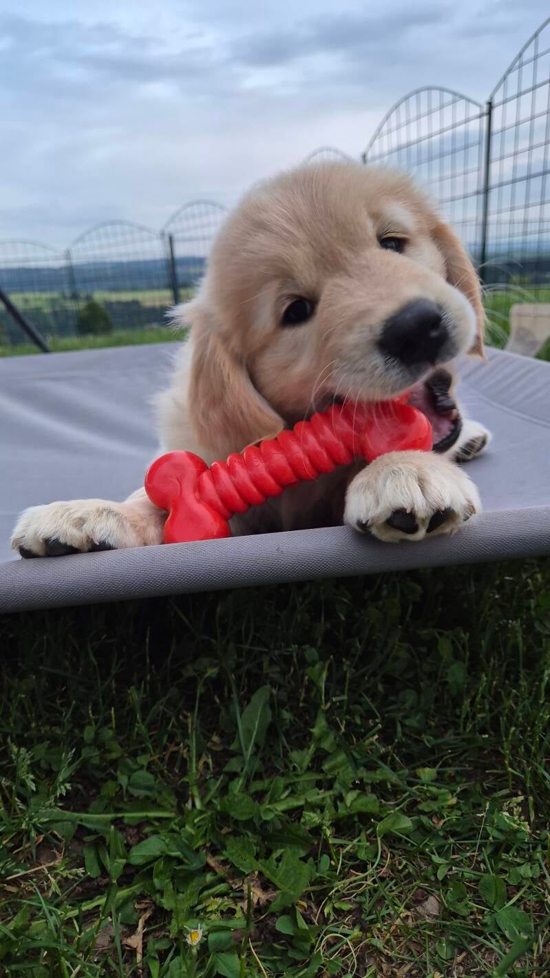 20260531_211318-standard.jpg