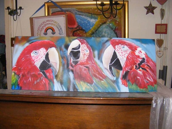 3 Parrots