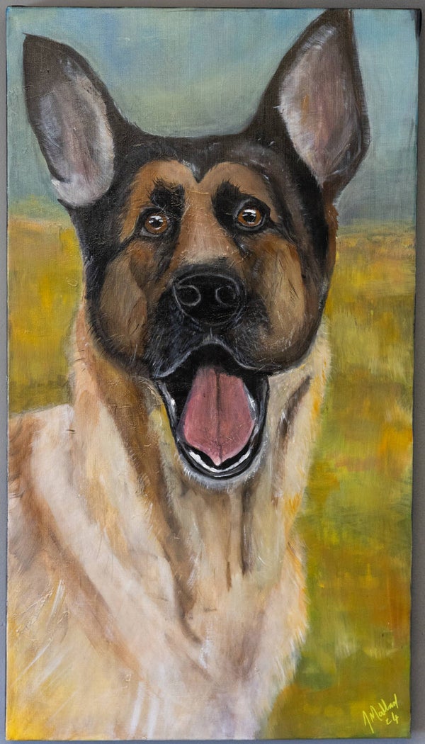 German shepherd