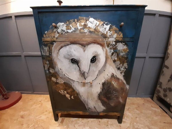 Barn owl on cupboard