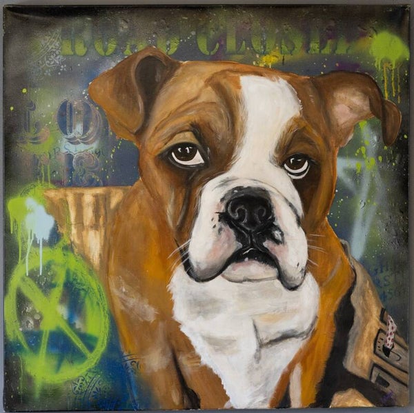 Boxer graffiti background