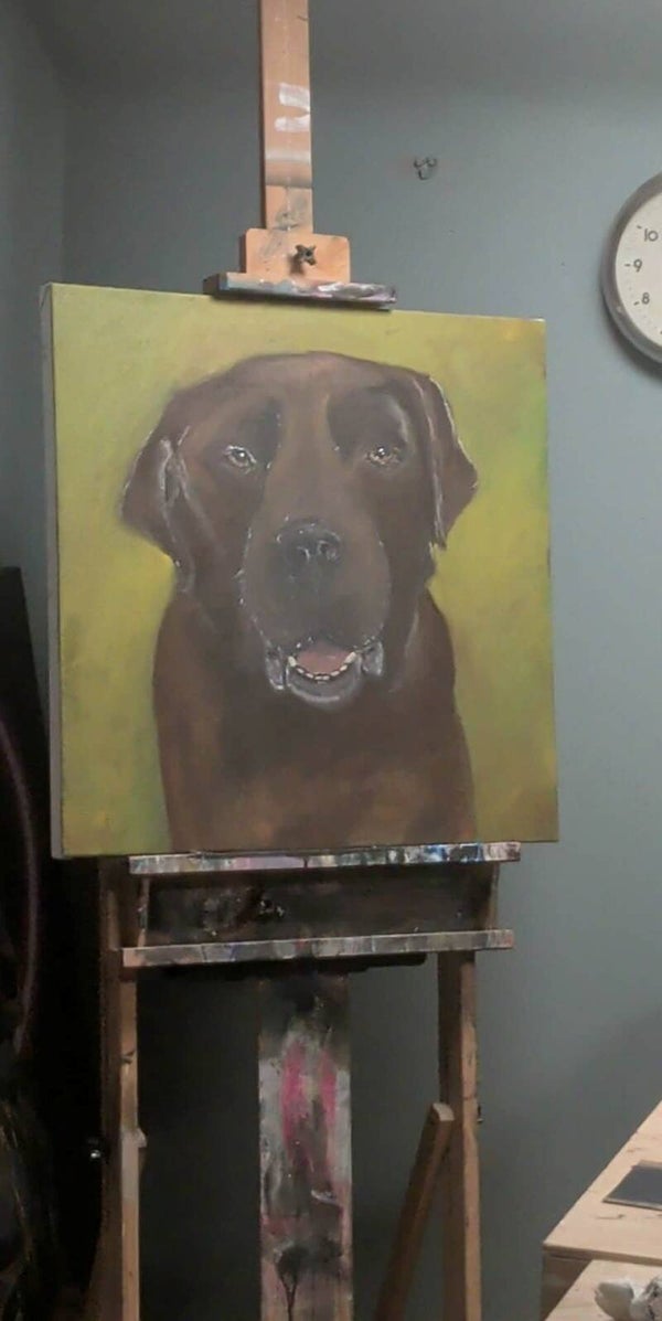 (C044)  Chocolate Lab acrylic on canvas