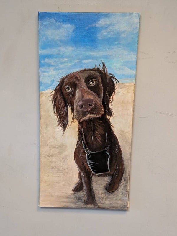 (C007) Canvas - Acrylic painting of a Boykin Spaniel dog
