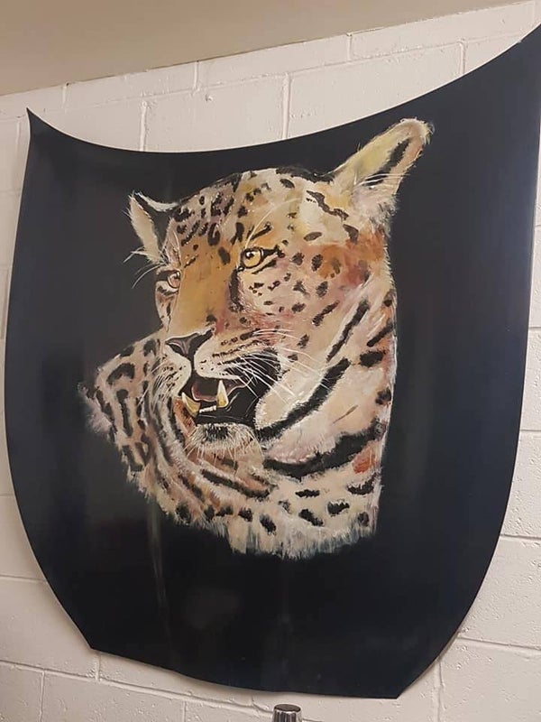 Leopard on Car Bonet