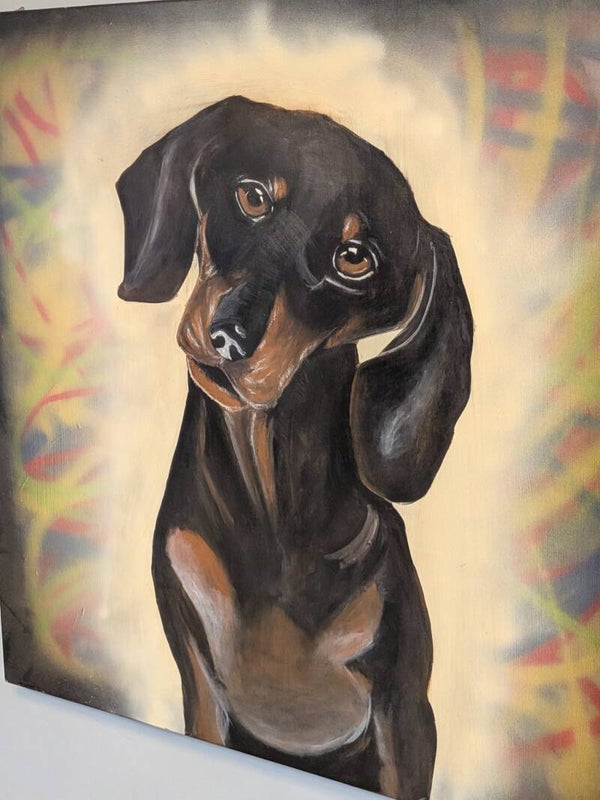 (C017) Canvas - Dachshund dog, Black & Tan