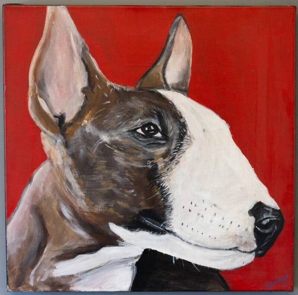 Canvas - Pitbull