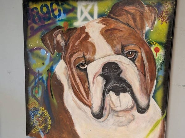 (C012) Canvas - Bull dog graffiti background