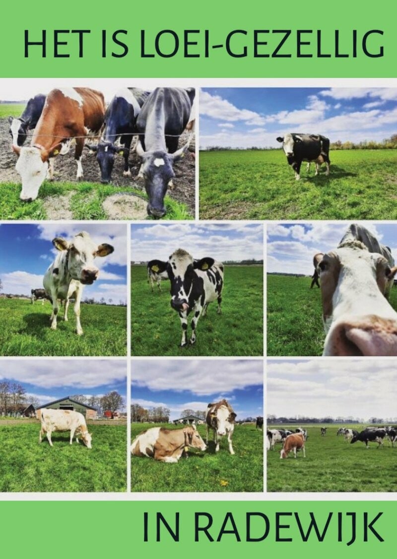 Ansichtkaart Loeigezellig