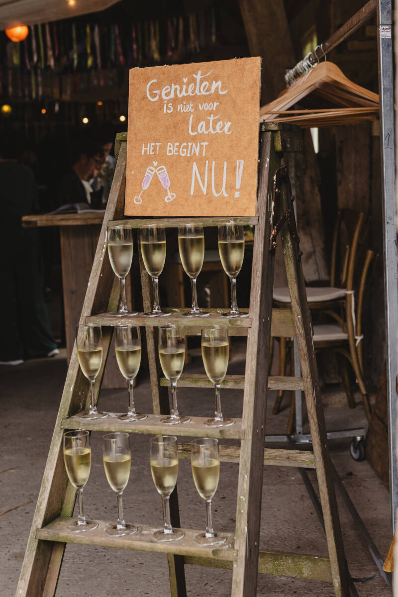 2b6a6785_byang-fotografie-standard-5b1pou.jpg