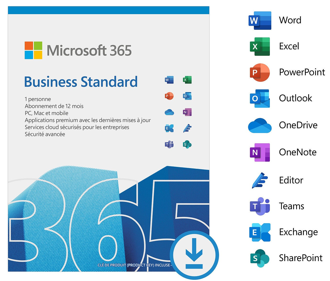 OFFICE 365 BUSINESS STANDARD 1 ANO
