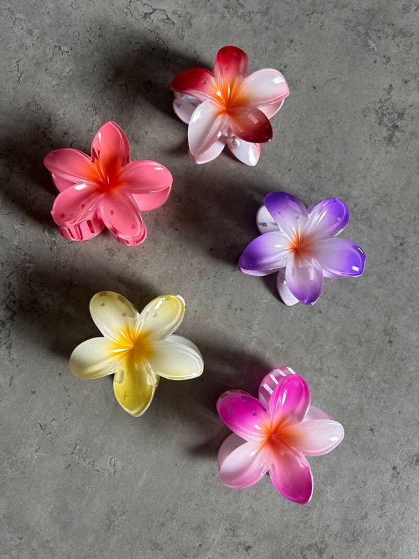 Haarclips hawaii