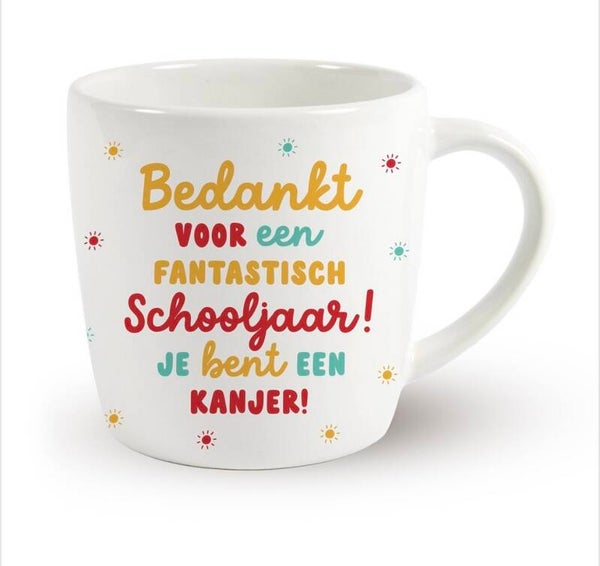Mok schooljaar