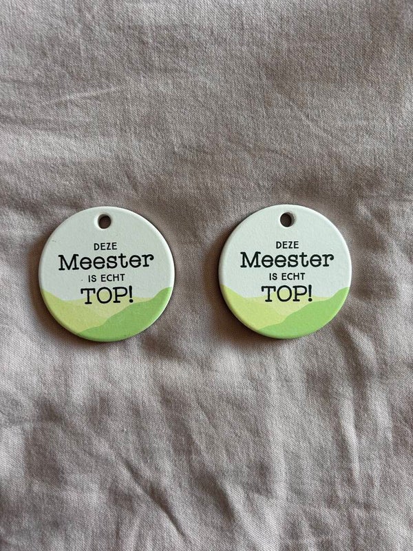 Magneet meester