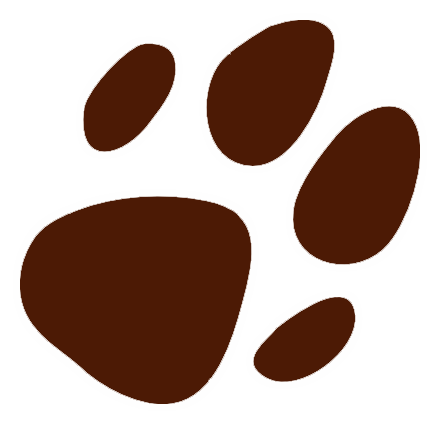 HUndeschule Sybille Richter SyRi's