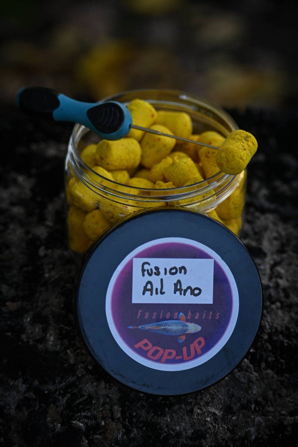 Dumbel fusion  Ail anodonte