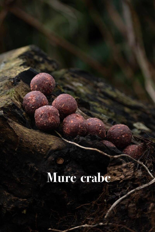 Mûre/ crabe 12