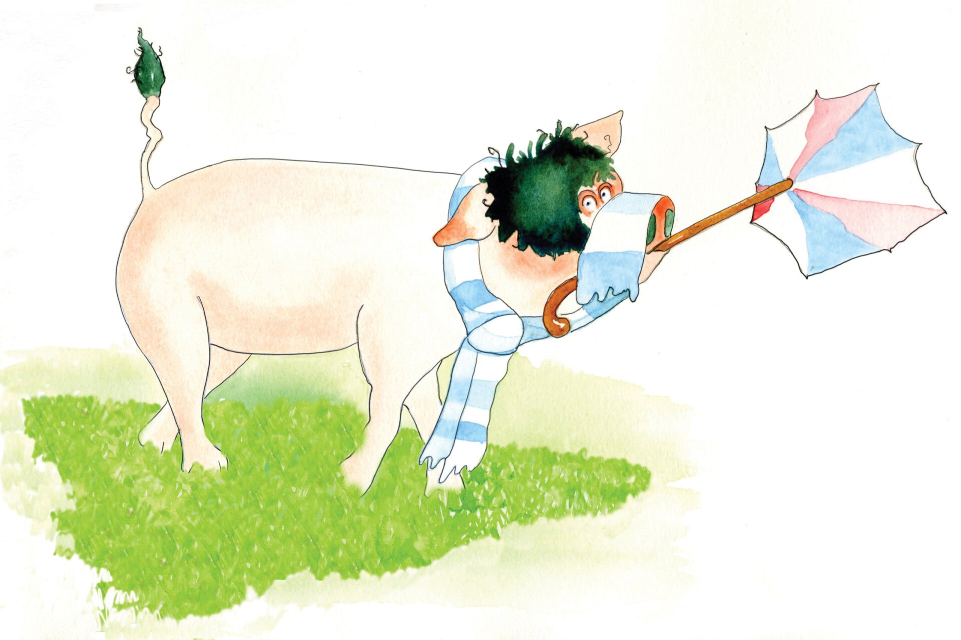 pigwig-4-copy-standard.jpg