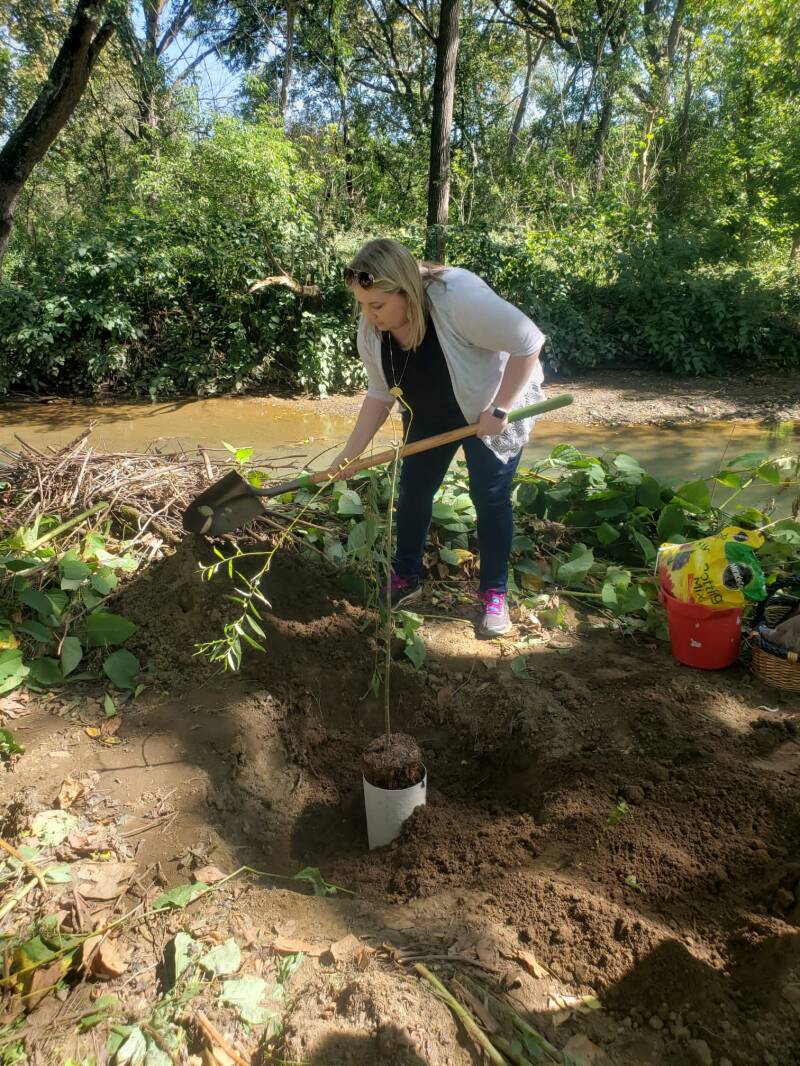 A woman planting a tree at as a special symbolic action.