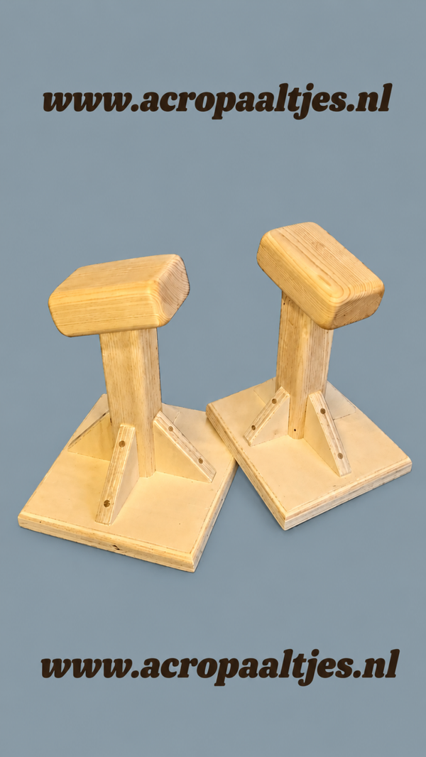 Set paaltjes 25 cm