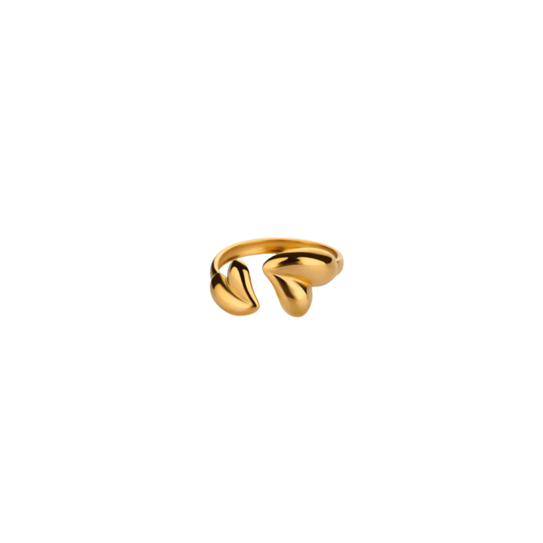 double love ★ ring goud