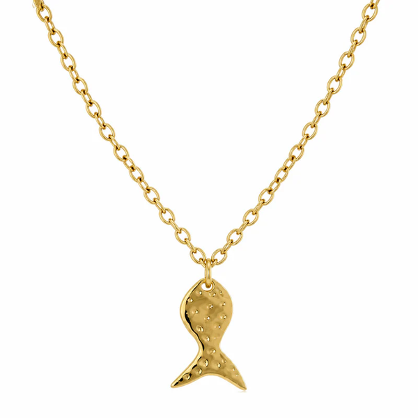 Big fish ★ lange ketting