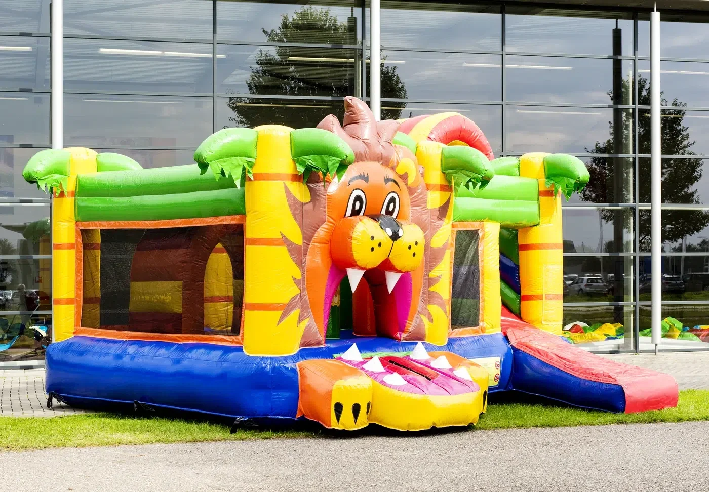 Multiplay Lion