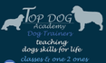 Top Dog Training Academy