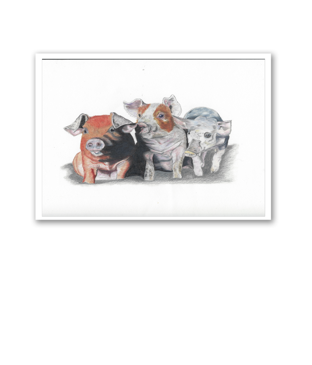 Curious Trio -  Fine Art Print