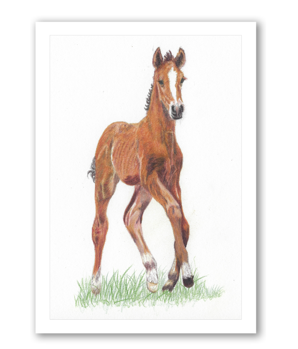 Running Free! - Fine Art Prints