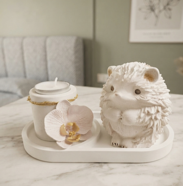 VAK B : Schattig Egel Decoratieset