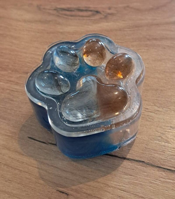 Hondenpootje met Hondenhaar