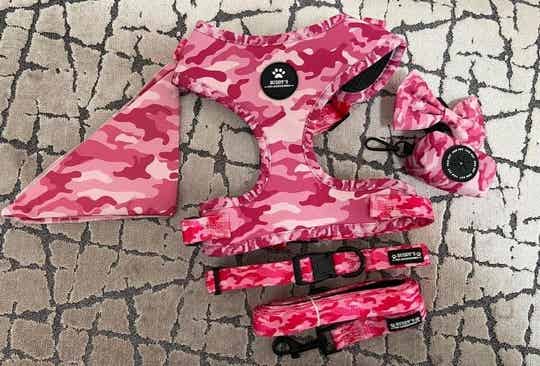 PINK 6 PIECE HARNESS SET