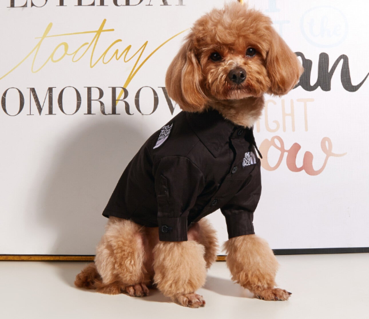 BLACK DOG FACE SHIRT/JACKET