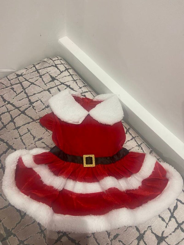 SANTA PAWS DRESS