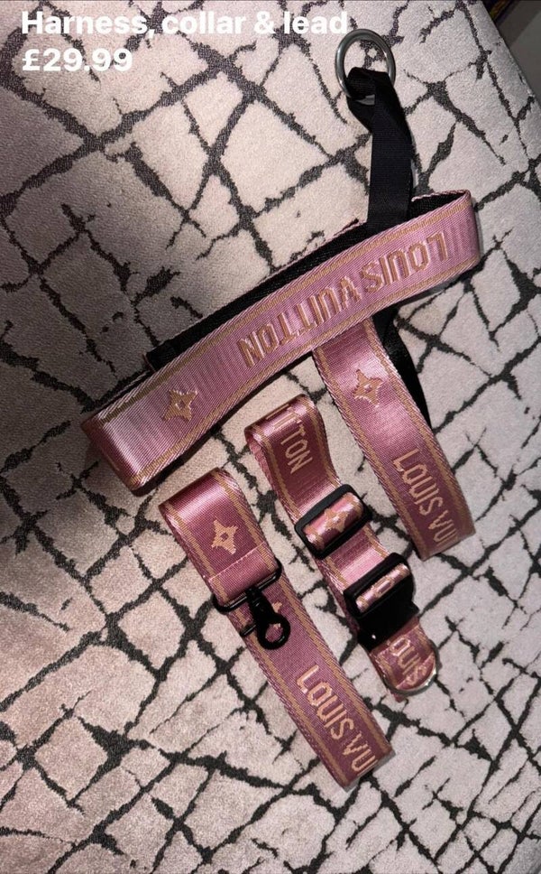 chewy Vuitton harness set