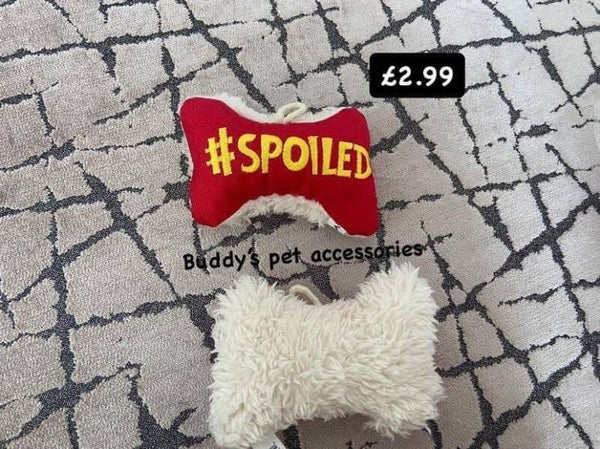 SPOILED TOY