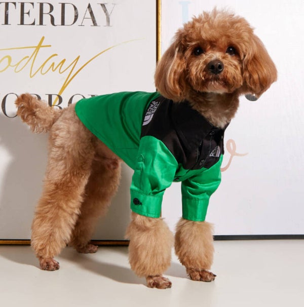 GREEN DOG FACE SHIRT/JACKET