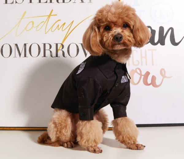 BLACK DOG FACE SHIRT/JACKET
