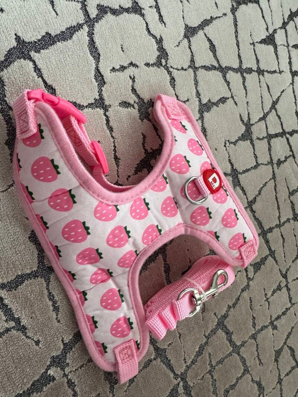 STRAWBERRY HARNESS & LEAD
